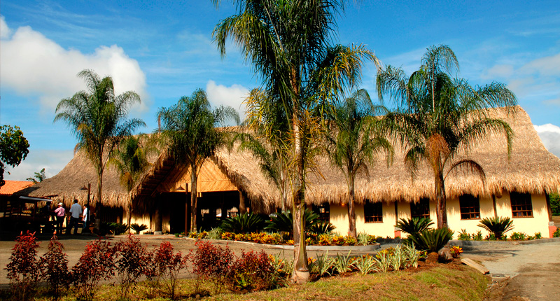 Decameron Panaca