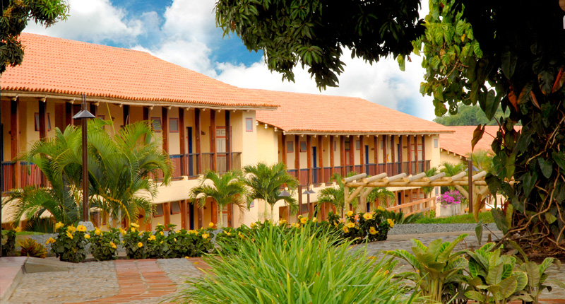 Decameron Panaca