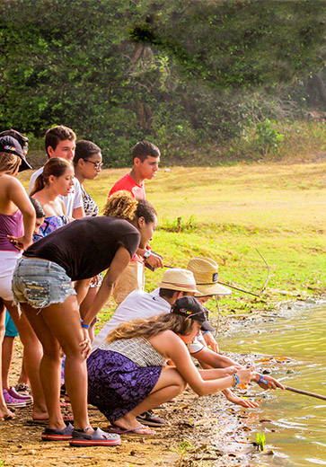 Decameron Explorer