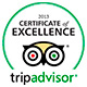 2013 Certificate of Excellence