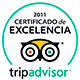 Award Icon