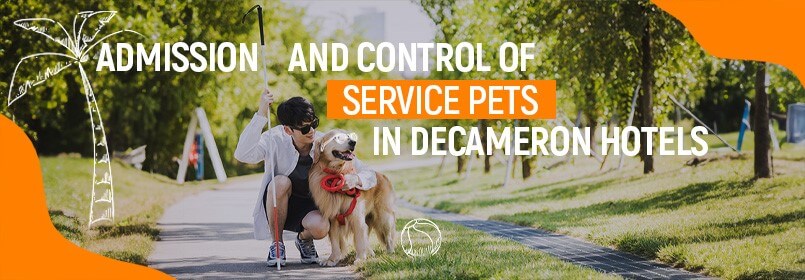 Service or guide dogs in Decameron Hotels