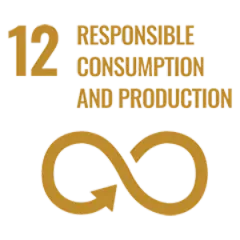 Ensure sustainable consumption and production patterns. Decameron Hotels Ensure sustainable consumption and production patterns. Decameron Hotels