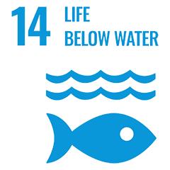 Underwater Life Decameron Hotels Underwater Life Decameron Hotels