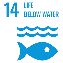Underwater Life Decameron Hotels Underwater Life Decameron Hotels