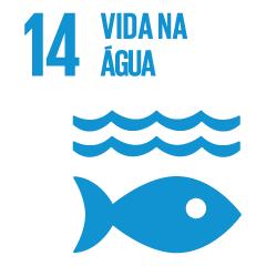 Vida submarina Hotéis Decameron Vida submarina Hotéis Decameron