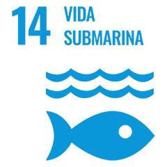 Vida submarina Hoteles Decameron Vida submarina Hoteles Decameron