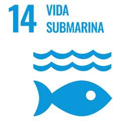 Vida submarina Hoteles Decameron Vida submarina Hoteles Decameron