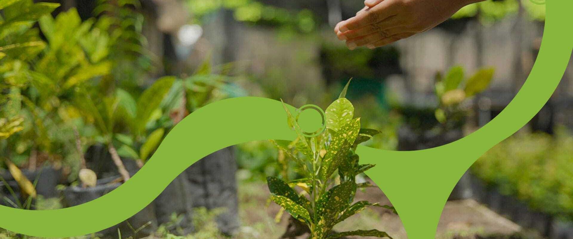 Decameron Hotels Decameron Hotels