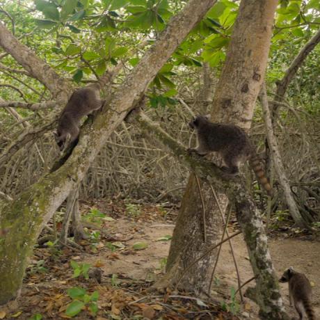 Disfruta la naturaleza Hoteles Decameron Disfruta la naturaleza Hoteles Decameron