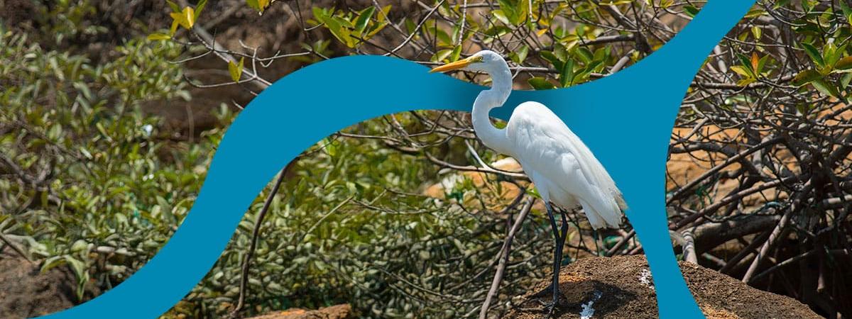 Hoteles Decameron Hoteles Decameron