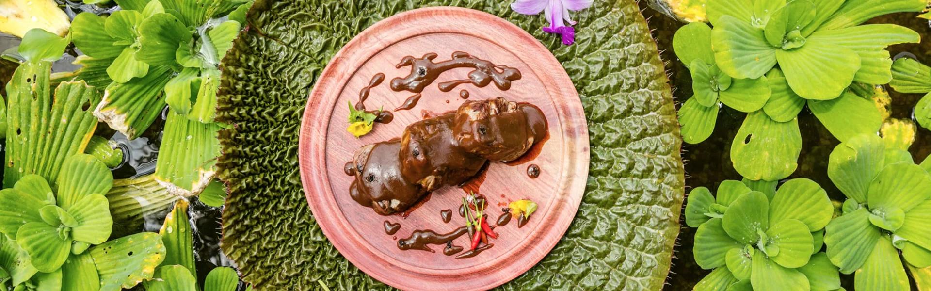 Decameron Decalodge Ticuna Amazonas Decameron Decalodge Ticuna Amazonas