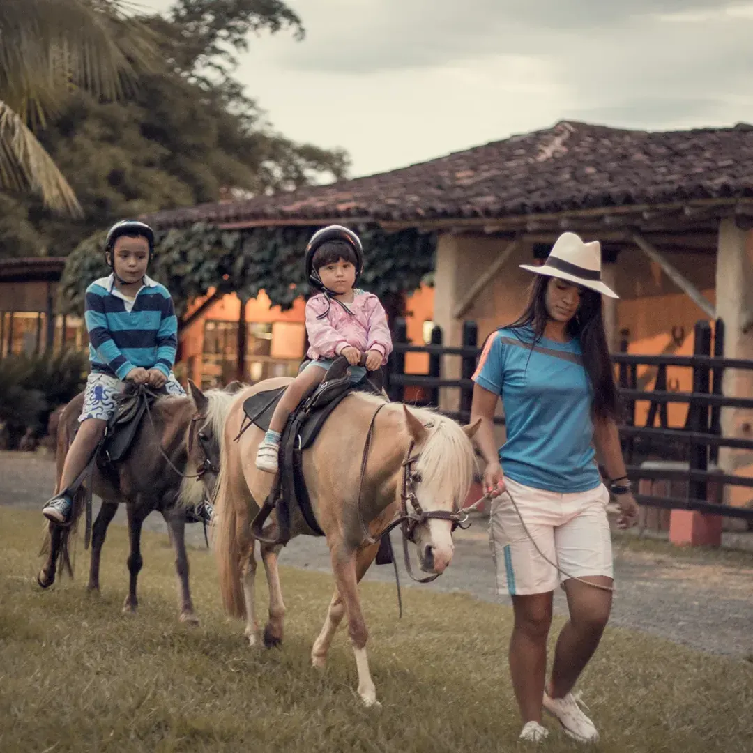 Decameron Tour incluido: Panaca + Parque Panaca (Sin traslados) Hotéis Decameron Decameron Tour incluido: Panaca + Parque Panaca (Sin traslados) Hotéis Decameron