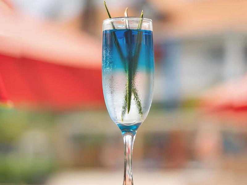 Gastronomía Royal Decameron Mompiche Gastronomía Royal Decameron Mompiche