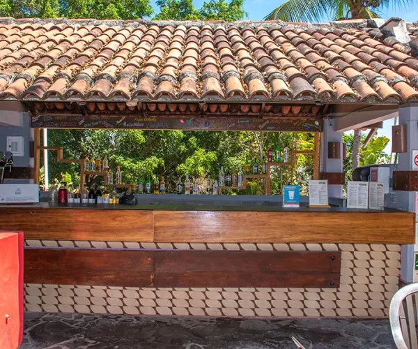 bar-cactus Decameron Los Cocos, Ramada All Inclusive Rincón de Guayabitos bar-cactus Decameron Los Cocos, Ramada All Inclusive Rincón de Guayabitos