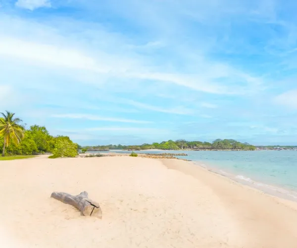 A Peaceful Beach Surrounded by Nature Decameron Barú A Peaceful Beach Surrounded by Nature Decameron Barú