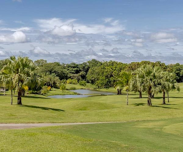 Juega golf con Decameron Grand Decameron Panama, A Trademark All Inclusive Farallón Juega golf con Decameron Grand Decameron Panama, A Trademark All Inclusive Farallón