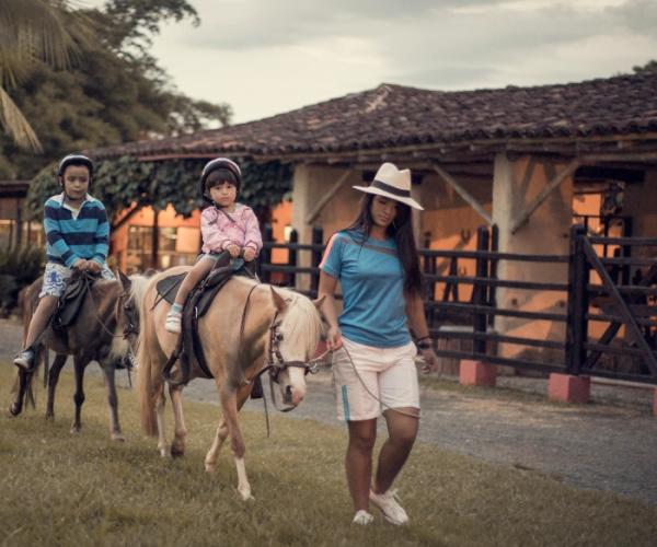 Establo – Conexión auténtica con la vida rural Decameron Panaca Quimbaya Establo – Conexión auténtica con la vida rural Decameron Panaca Quimbaya