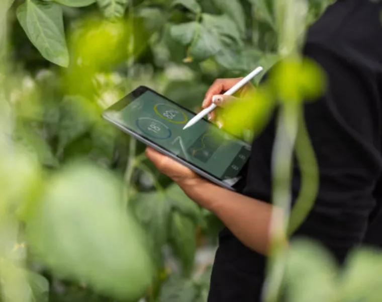 Certificación Hoteles Decameron Certificación Hoteles Decameron