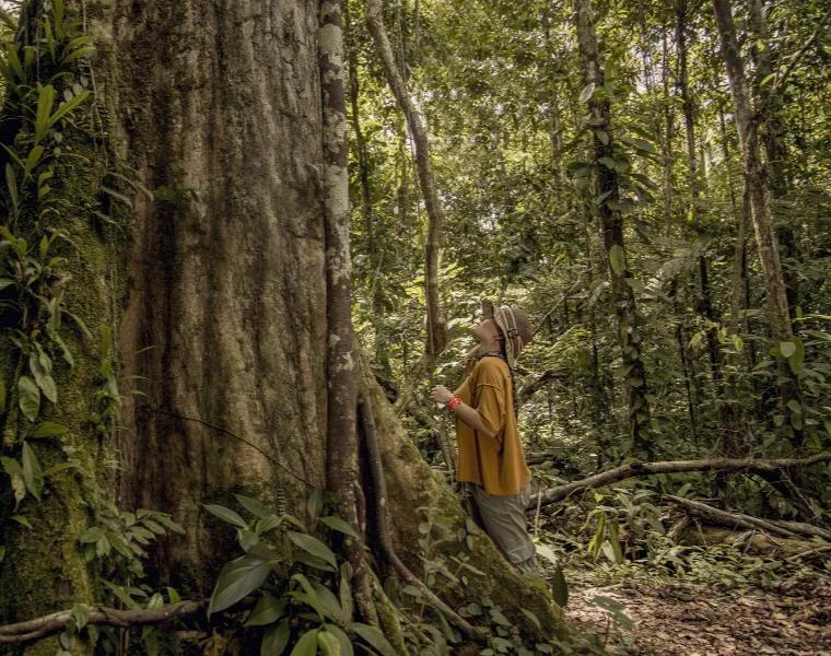 Medición De Huella De Carbono Hoteles Decameron Medición De Huella De Carbono Hoteles Decameron