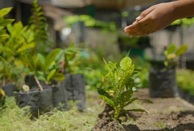 Cambio Climático Hoteles Decameron Cambio Climático Hoteles Decameron