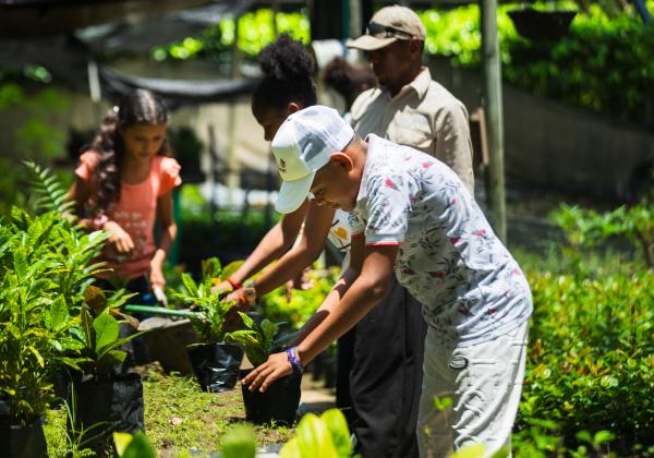 Hoteles Decameron Hoteles Decameron