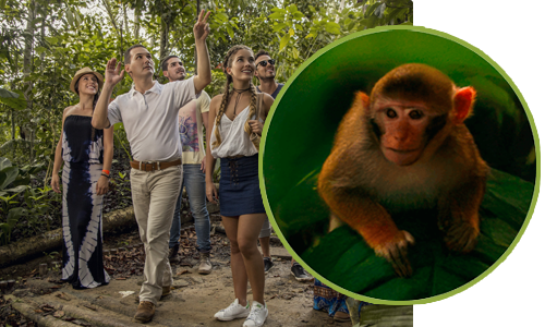 Podrás conocer la especie dominante de la Isla Hoteles Decameron Podrás conocer la especie dominante de la Isla Hoteles Decameron