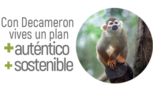 Un Encuentro Con Sus Habitantes Encantadores Hoteles Decameron Un Encuentro Con Sus Habitantes Encantadores Hoteles Decameron