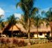 Decameron Panaca
