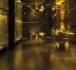 W Bogota Hotel